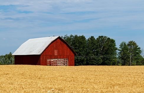 Barn in a field image
