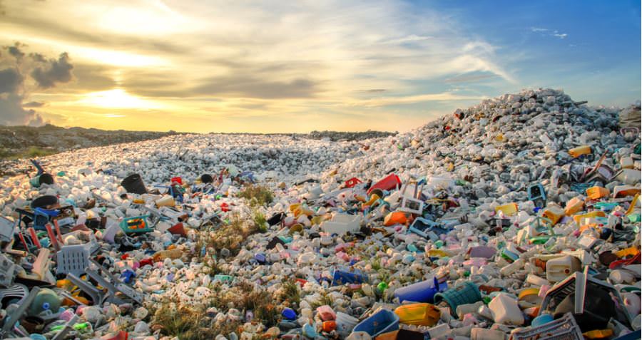 Plastic Contaminating the Sea Image