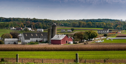 Farmhouse and Fields