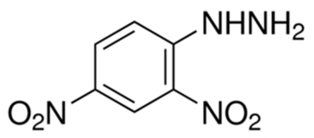 Picture of 2,4-Dinitrophenylhydrazine (water added)