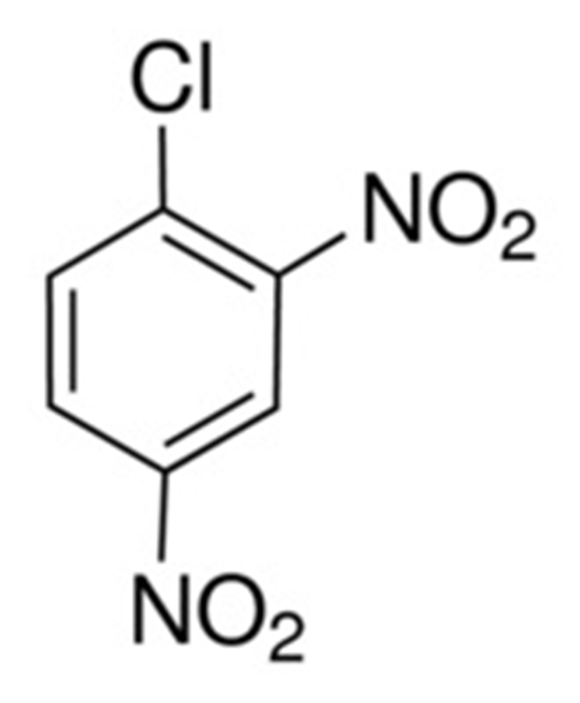 Picture of 1-Chloro-2.4-dinitrobenzene Solution 1000ug/ml in Hexane; F2169JS