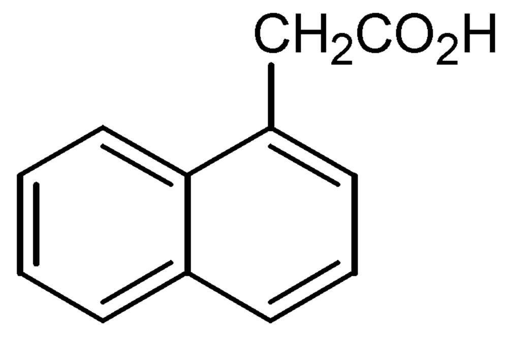 Picture of 1-Naphthaleneacetic acid Solution 100ug/ml in MTBE; PS-29JS