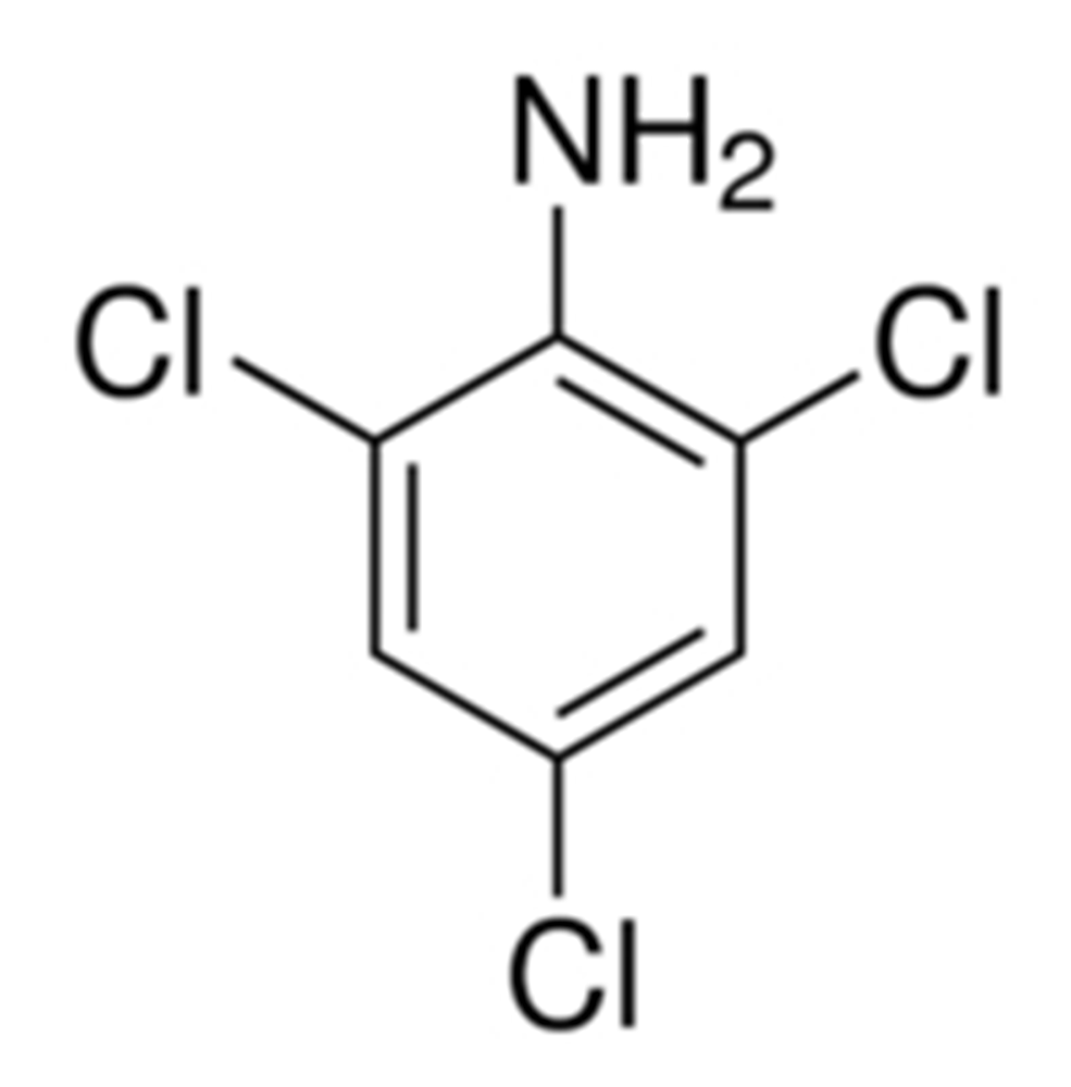 Picture of 2.4.6-Trichloroaniline Solution 1000ug/ml in Toluene; F2508JS
