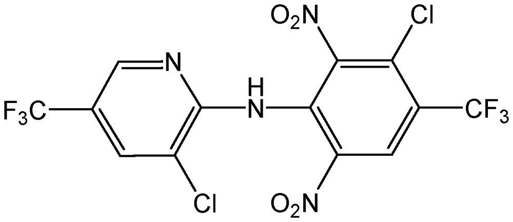 Picture of Fluazinam Solution 100ug/ml in Toluene; PS-2249JS