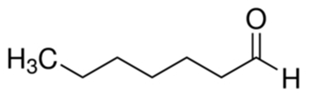 Picture of Heptaldehyde Solution 1000ug/ml in Acetonitrile; F2329JS