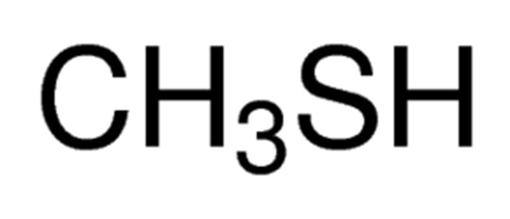 Picture of Methyl mercaptan Solution 1000ug/ml in Methanol; F2529JS