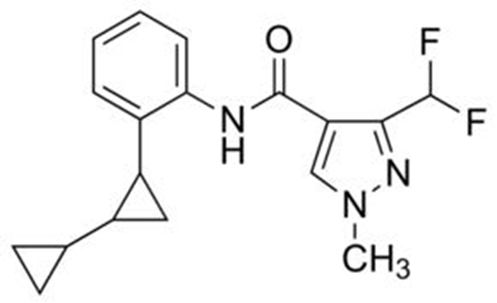 Picture of Sedaxane Solution 100ug/ml in Methanol