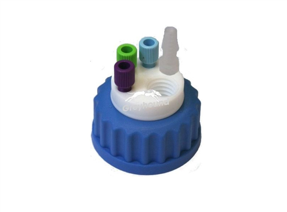Picture of Smart Waste Cap GL45 with 3 Universal connectors (1/8" to 1/16"), 1 barbed tube fitting (6-9 mm) and 1 charcoal cartridge filter port