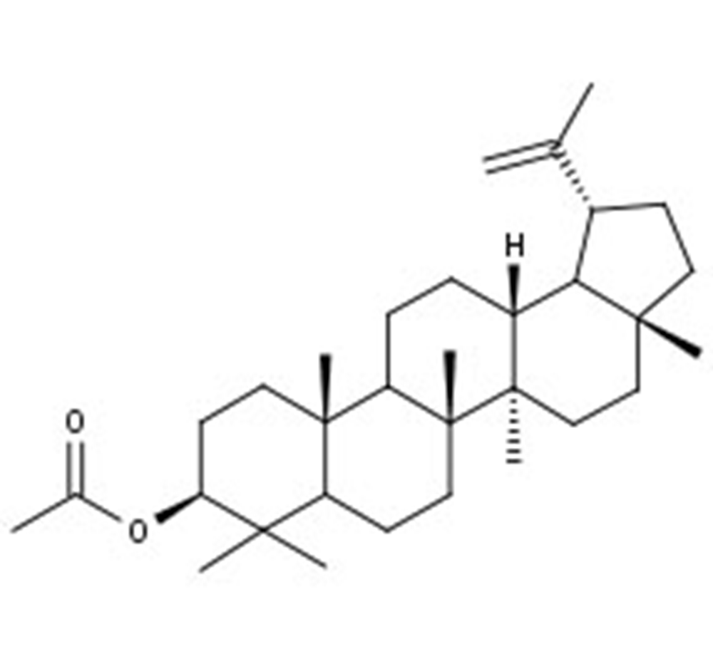 Picture of Lupeol acetate