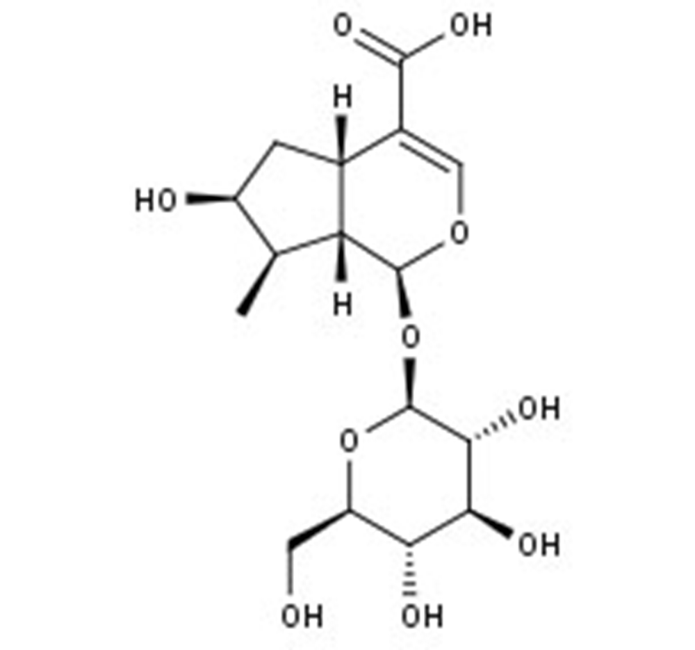 Picture of Loganic acid