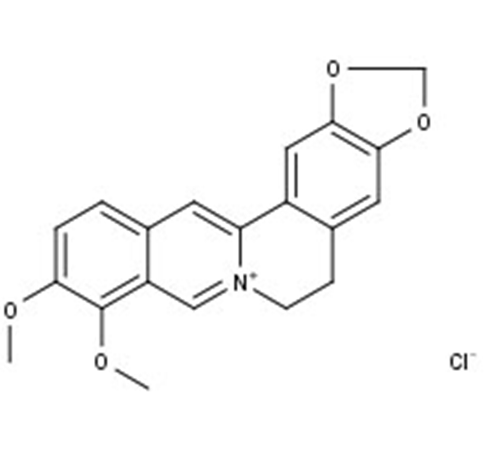 Picture of Berberine chloride