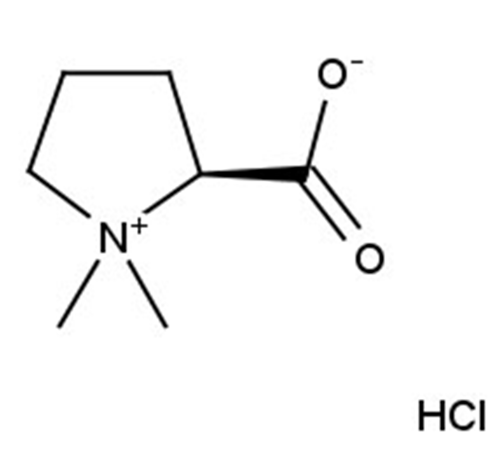 Picture of Stachydrine hydrochloride
