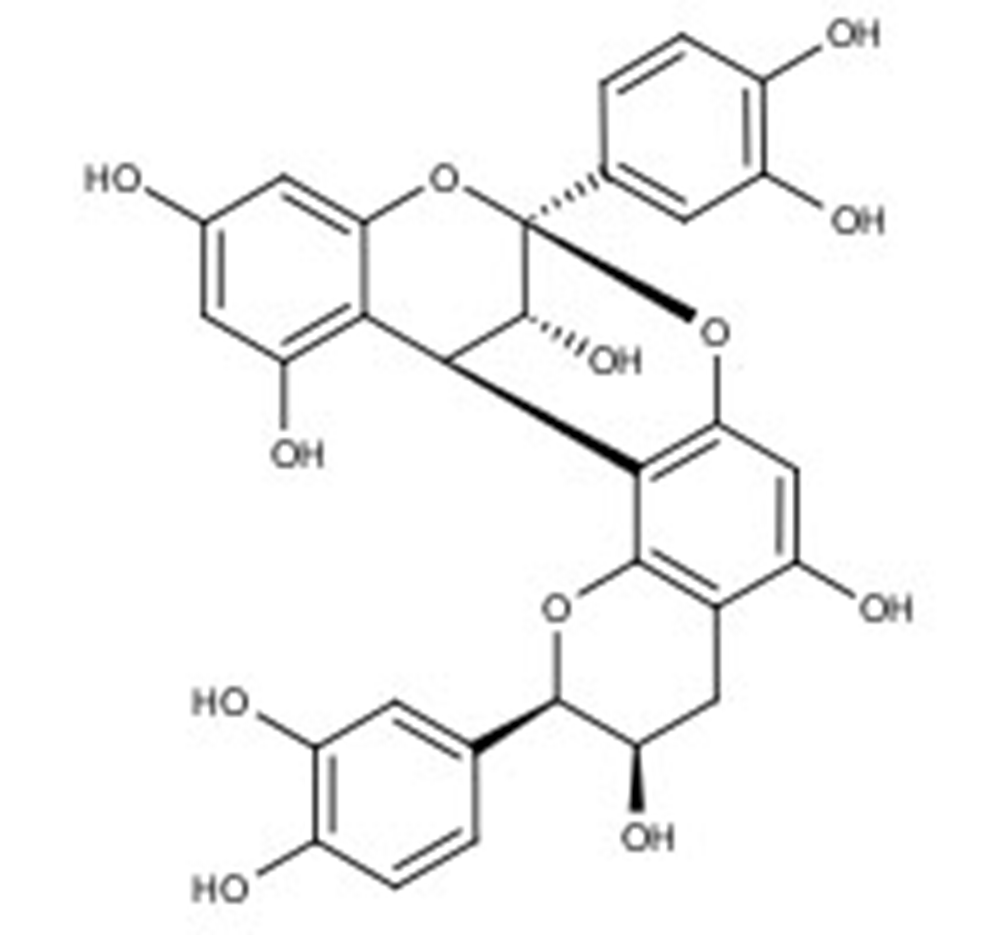 Picture of Procyanidin A2