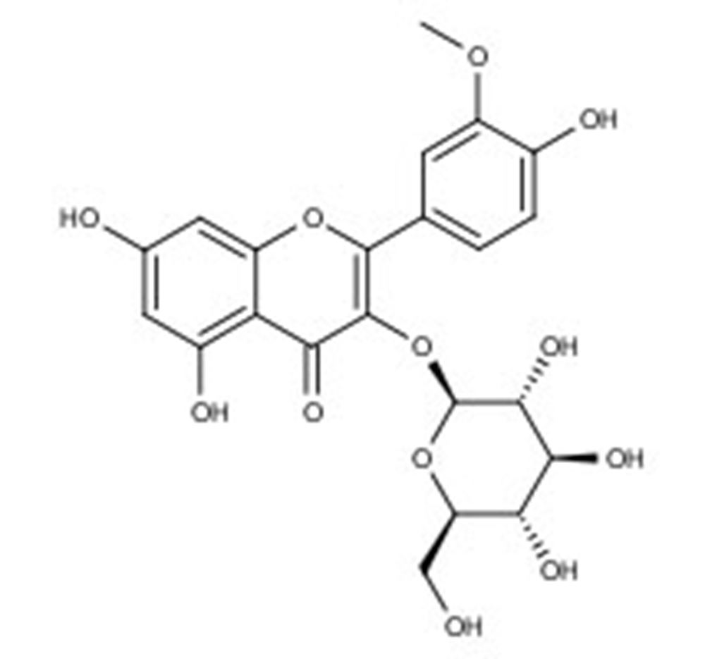 Picture of Isorhamnetin-3-O-glucoside