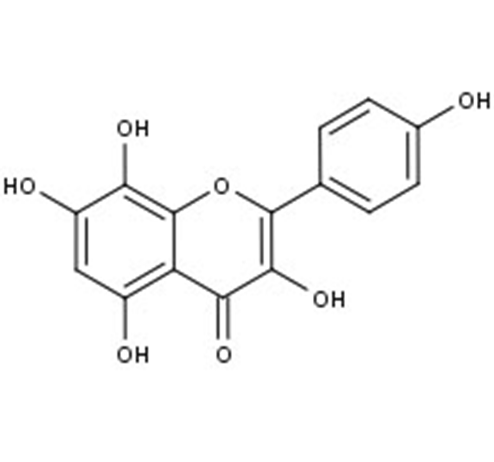 Picture of Herbacetin