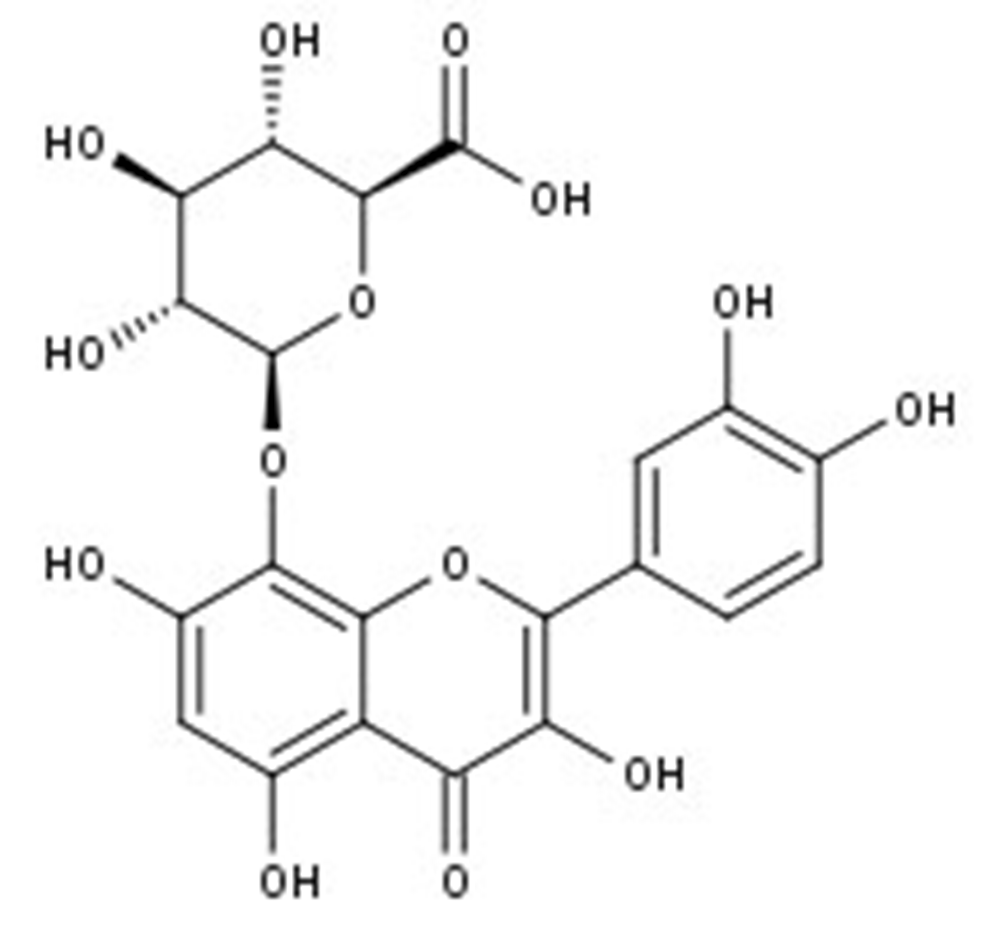 Picture of Gossypetin-8-O-glucuronide