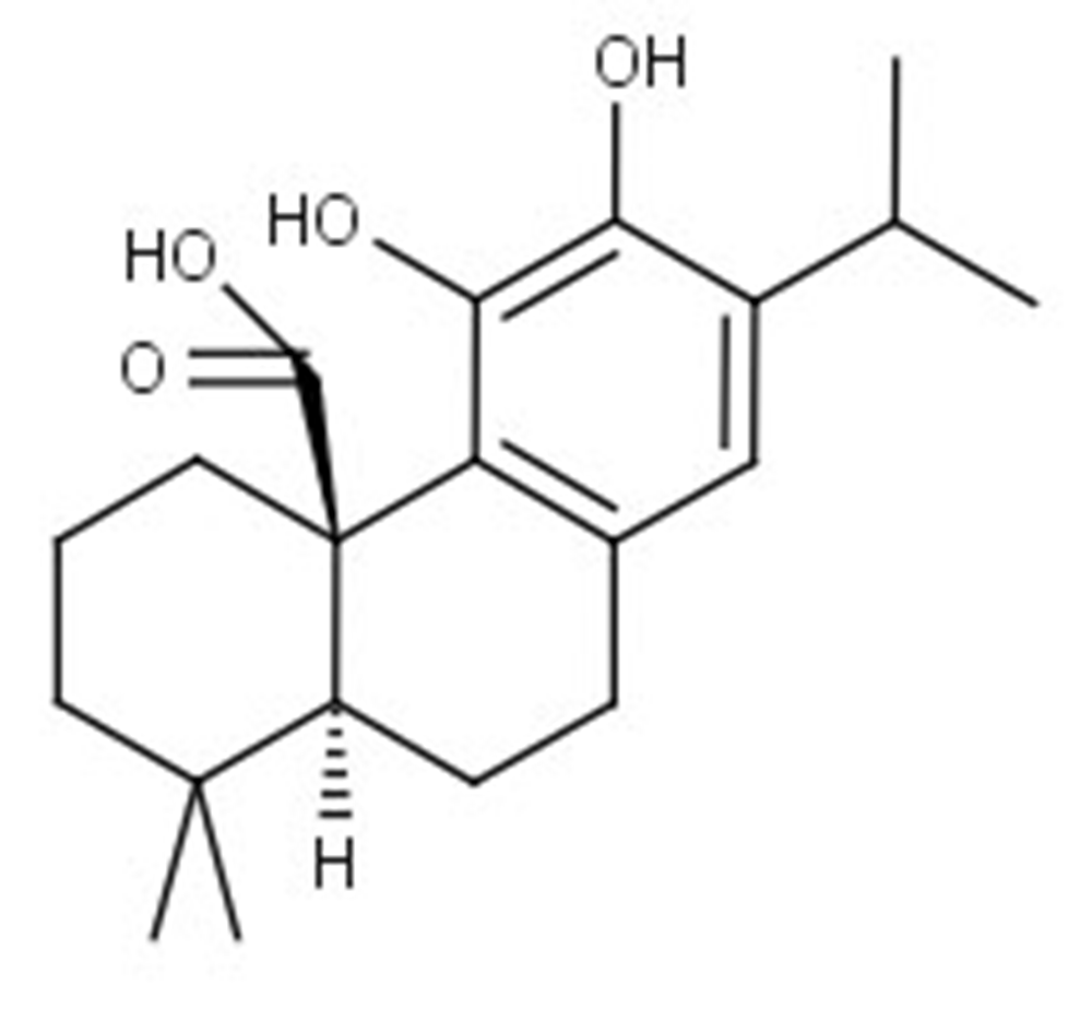 Picture of Carnosic acid