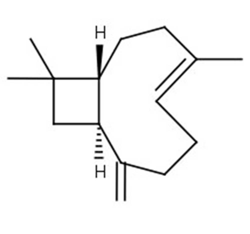 Picture of (-)-trans-Caryophyllene