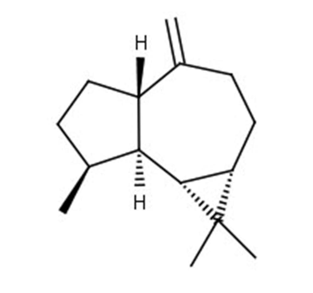 Picture of (+)-Aromadendrene