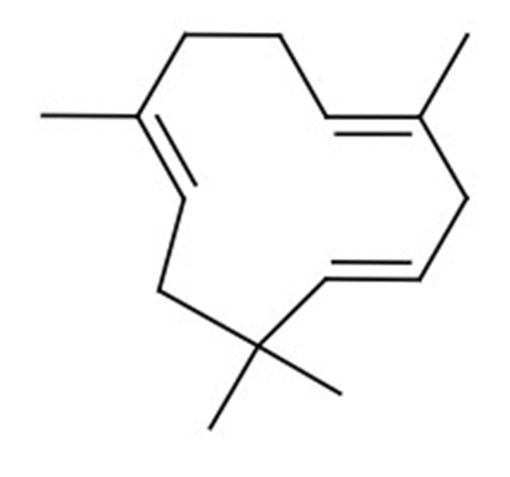 Picture of alpha-Humulene