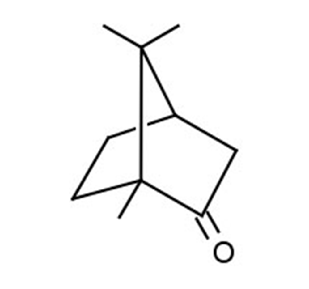 Picture of (+)-Camphor