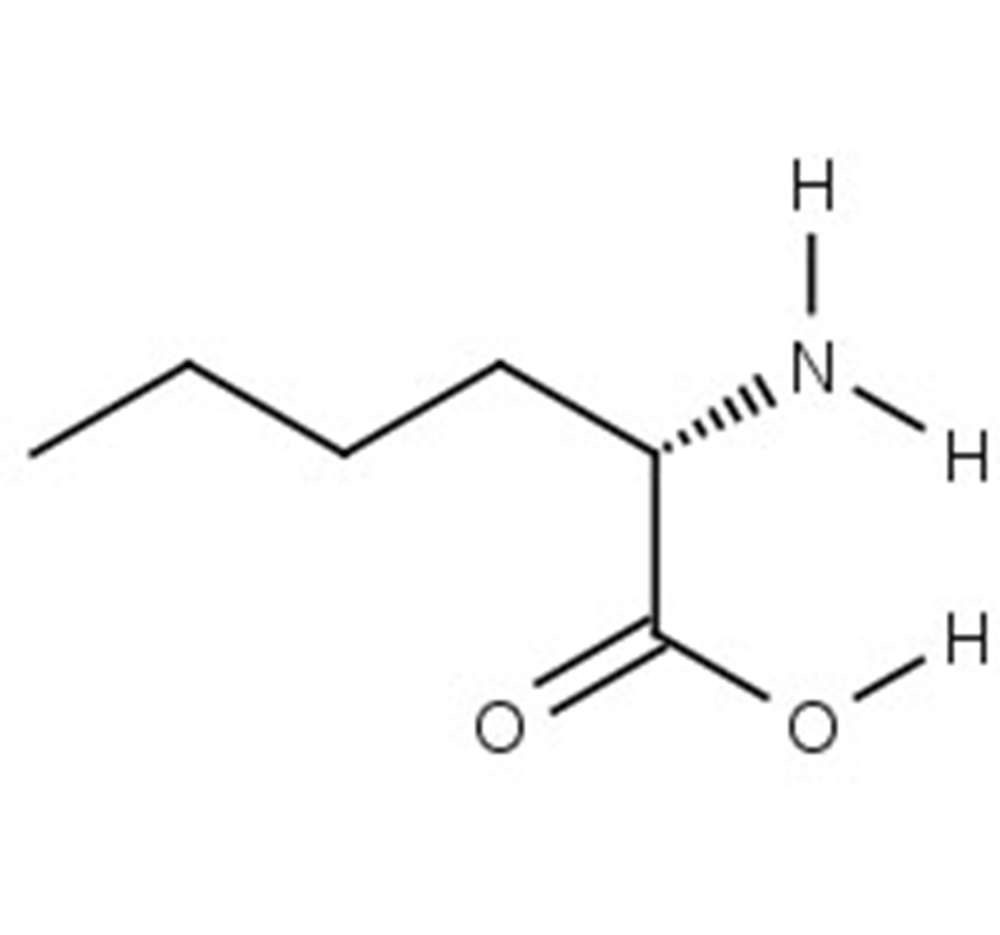 Picture of L-(+)-Norleucine