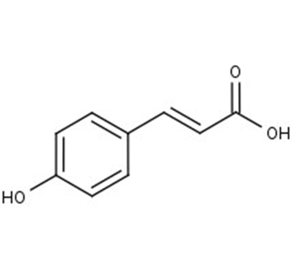 Picture of 4-Coumaric acid