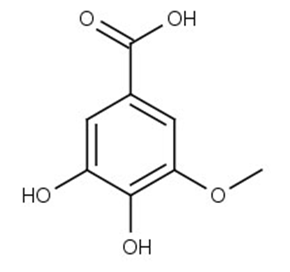 Picture of 3-O-Methylgallic acid