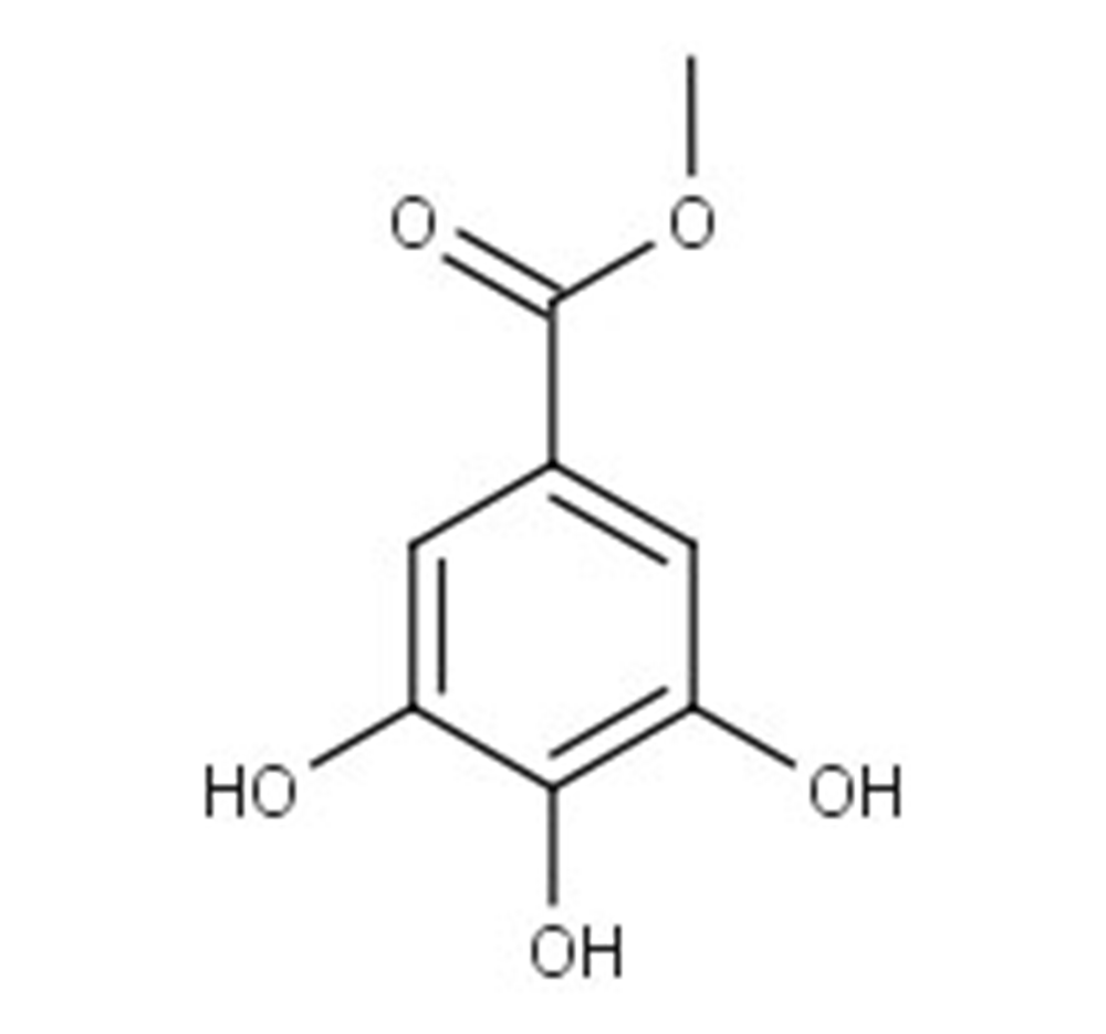 Picture of Methylgallate