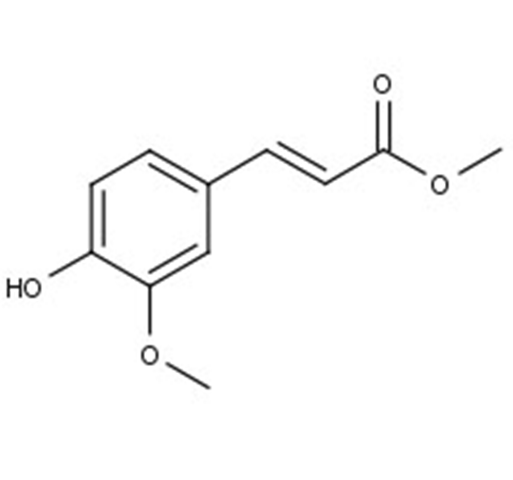Picture of Ferulic acid methylester