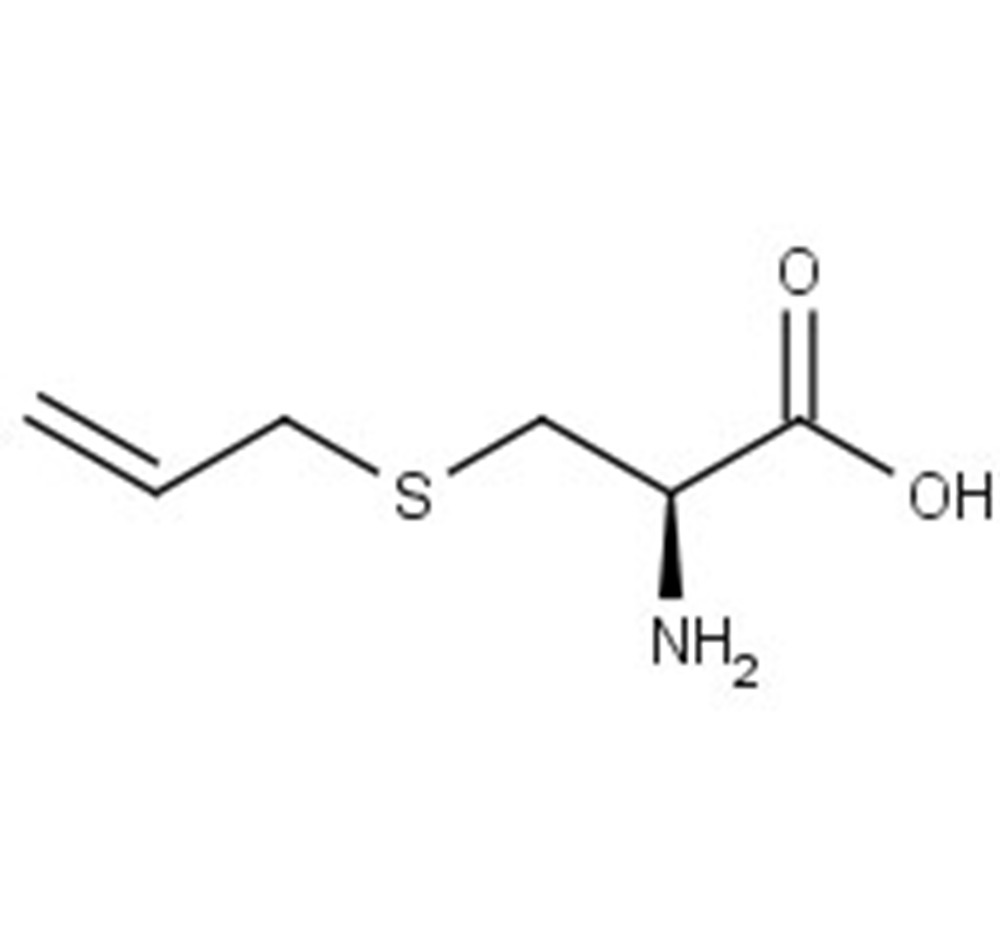 Picture of S-Allyl-L-cysteine