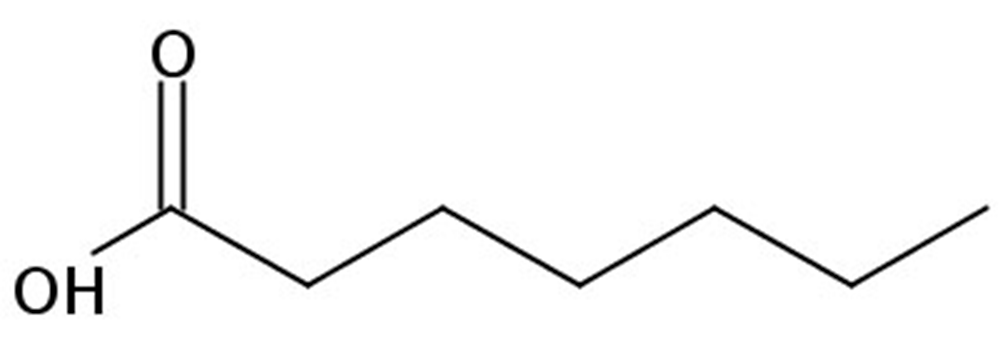 Picture of Heptanoic acid, 100mg