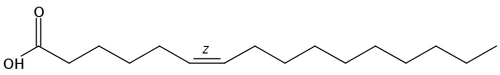 Picture of 6(Z)-Hexadecenoic acid, 5mg