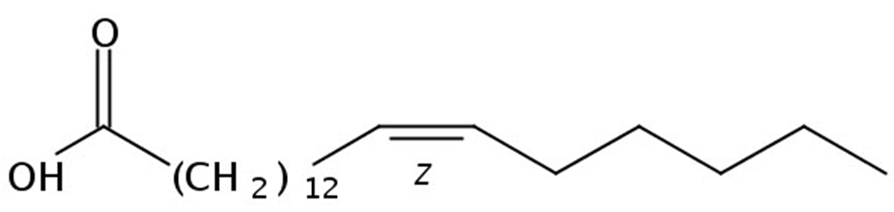 Picture of 14(Z)-Eicosenoic acid, 10mg