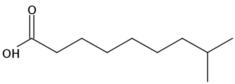 Picture of 8-Methylnonanoic acid, 250mg