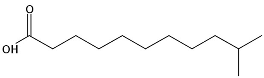 Picture of 10-Methylundecanoic acid, 25mg