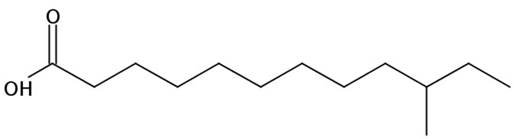 Picture of 10-Methyldodecanoic acid, 250mg