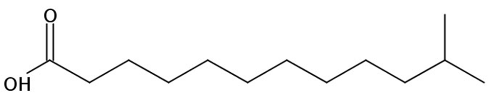 Picture of 11-Methyldodecanoic acid, 250mg