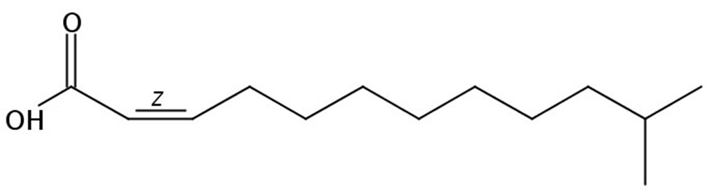 Picture of 11-Methyl-2(Z)-Dodecenoic acid, 1mg