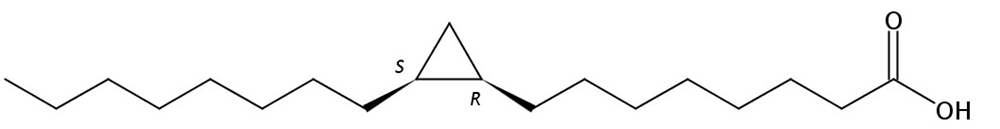 Picture of cis-9,10-Methyleneoctadecanoic acid , 5mg