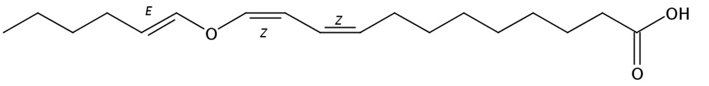 Picture of 11(Z)-Etheroleic acid, 50ug