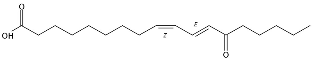 Picture of 13-Oxo-9(Z),11(E)-octadecadienoic acid, 1mg
