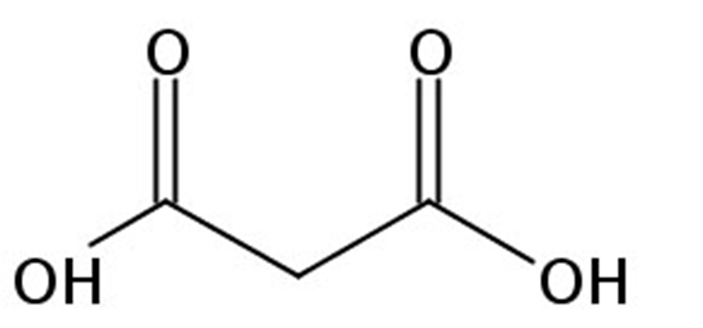 Picture of Propanedioic acid