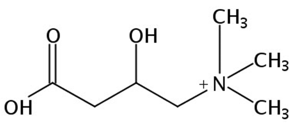Picture of L-Carnitine free base