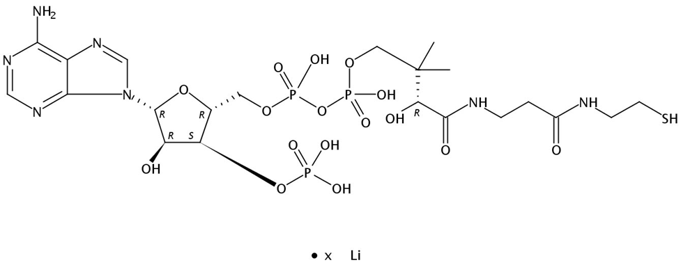 Picture of Coenzyme A Li salt, 2g