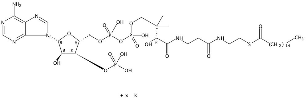 Picture of Hexadecanoyl Coenzyme A K salt, 25mg