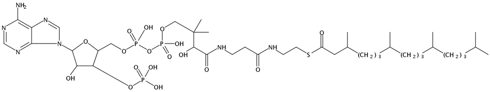 Picture of 3,7,11,15-Tetramethylhexadecanoyl Coenzyme A (NH4)3 salt, 1mg