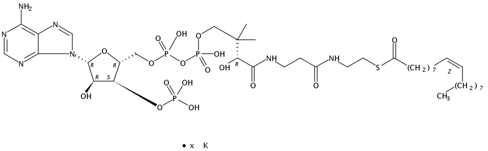 Picture of 9(Z)-Octadecenoyl Coenzyme A K salt