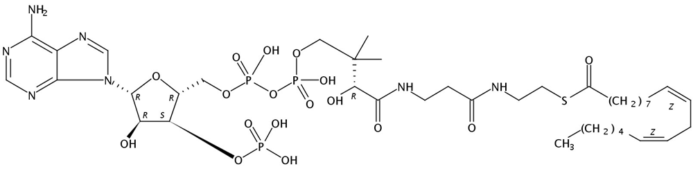 Picture of 9(Z),12(Z)-Octadecadienoyl Coenzyme A, free acid, 5mg