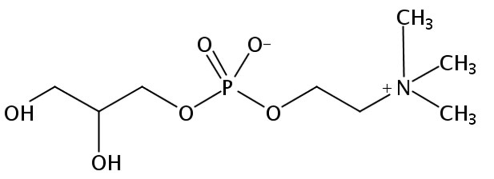 Picture of sn-Glycerophosphorylcholine (egg, free base), 500mg